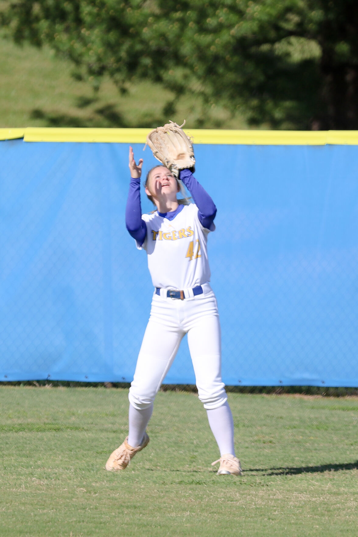 Softball (1) - Copy.jpg